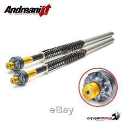 Andreani Cartridge Front Fork Adjustable Misano Honda Xrv750 Africa Twin