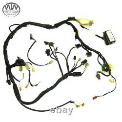 Cable Harness Honda Xrv750 Africa Twin (rd07a)