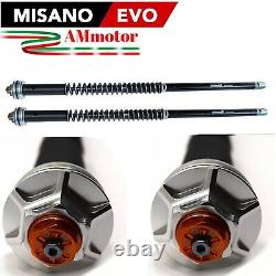 Fork Cartridge Honda XRV 750 Africa Twin 1992 92 Andreani Group Misano Evo