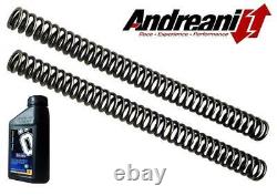 Fork Springs and Oil ANDREANI Honda XRV 650/750 Africa Twin