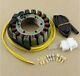 Gz Alternator Winding (stator) Honda Xrv 750 Africa Twin (93-03), Xl 600v Tran