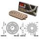 Honda Xrv Africa Twin (rd04) 750 1990-1992 Gold Chain Set 525 Pbr Ek 520gold