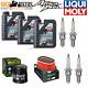 Honda Xrv 750 Africa Twin Maintenance Kit: Liqui Moly Oil, Air Filter, Spark Plugs