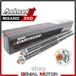 Hydraulic Cartridge Kit Adjustment Misano Evo Andreani for Honda XRV 750 Africa Twin 1990-1996