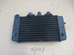 Left Water Radiator For Honda 650 Africa Twin Xrv Rd03