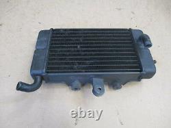 Left Water Radiator For Honda 650 Africa Twin Xrv Rd03