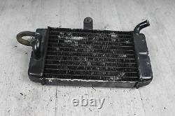 Radiator, Honda Water Cooler Xrv 750 Africa Twin Rd04 90-92