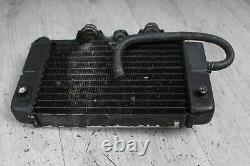 Radiator, Honda Water Cooler Xrv 750 Africa Twin Rd04 90-92