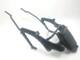 Rear Luggage Rack Honda Xrv 750 Africa Twin 1994-1995 / Ne 25086