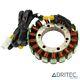 Stator Alternator For Honda Xrv Africa Twin 650 (1988-1989)