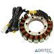 Alternateur Stator Pour Honda Xrv Africa Twin 650 (1988-1989)