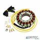 Alternateur Stator Honda Africa Twin Xrv 750 1990-2003